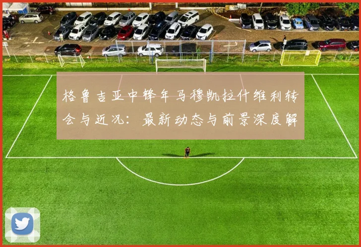 格鲁吉亚中锋年马穆凯拉什维利转会与近况：最新动态与前景深度解析
